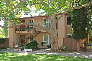 Building Photo - Walnut Wood Apartments