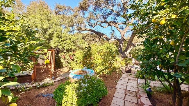 Building Photo - Darling Open Studio Layout Guest Home unit on Lush and Beautifully Landscaped Private Property in...