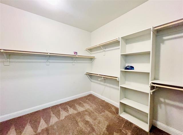 Building Photo - 5644 Salt Springs Dr