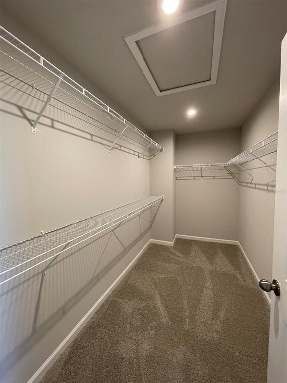 Building Photo - 2423 Arbor Wind Dr