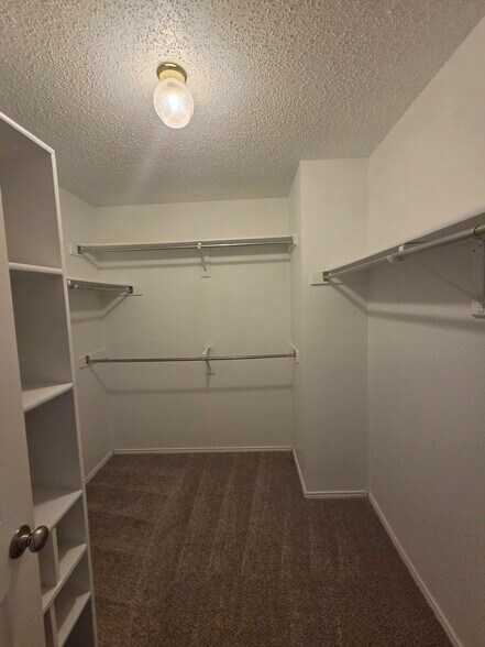 Building Photo - 3304 Sparta Dr