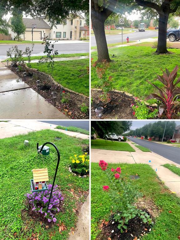 Building Photo - 3845 Harvey Penick Dr