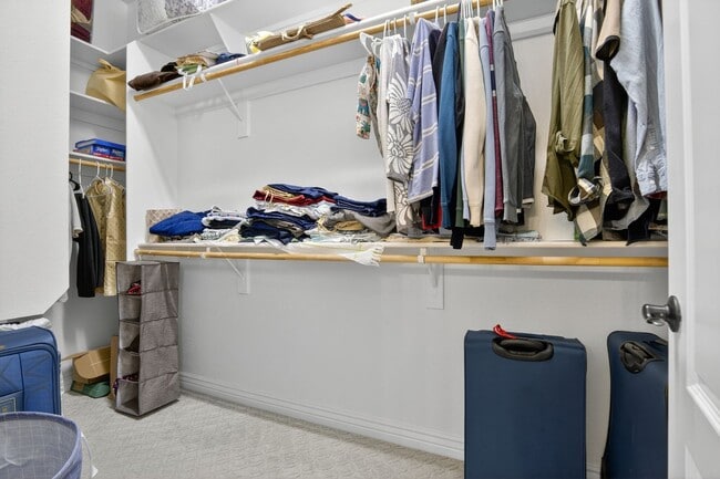 Building Photo - Beautiful Single-Story Home in Popular Adora Trails