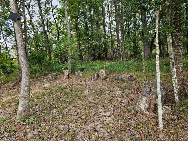 Building Photo - 2914 Roman Forest Blvd