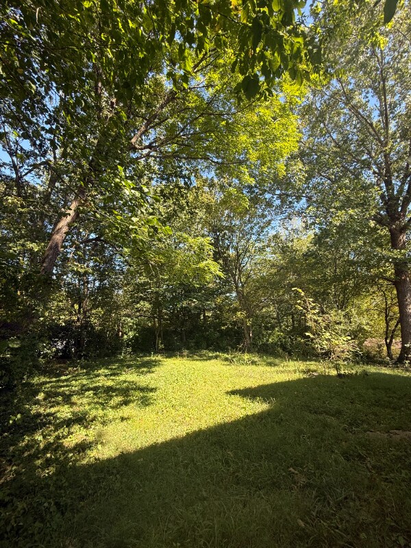 Building Photo - 4402 Immanuel St SW