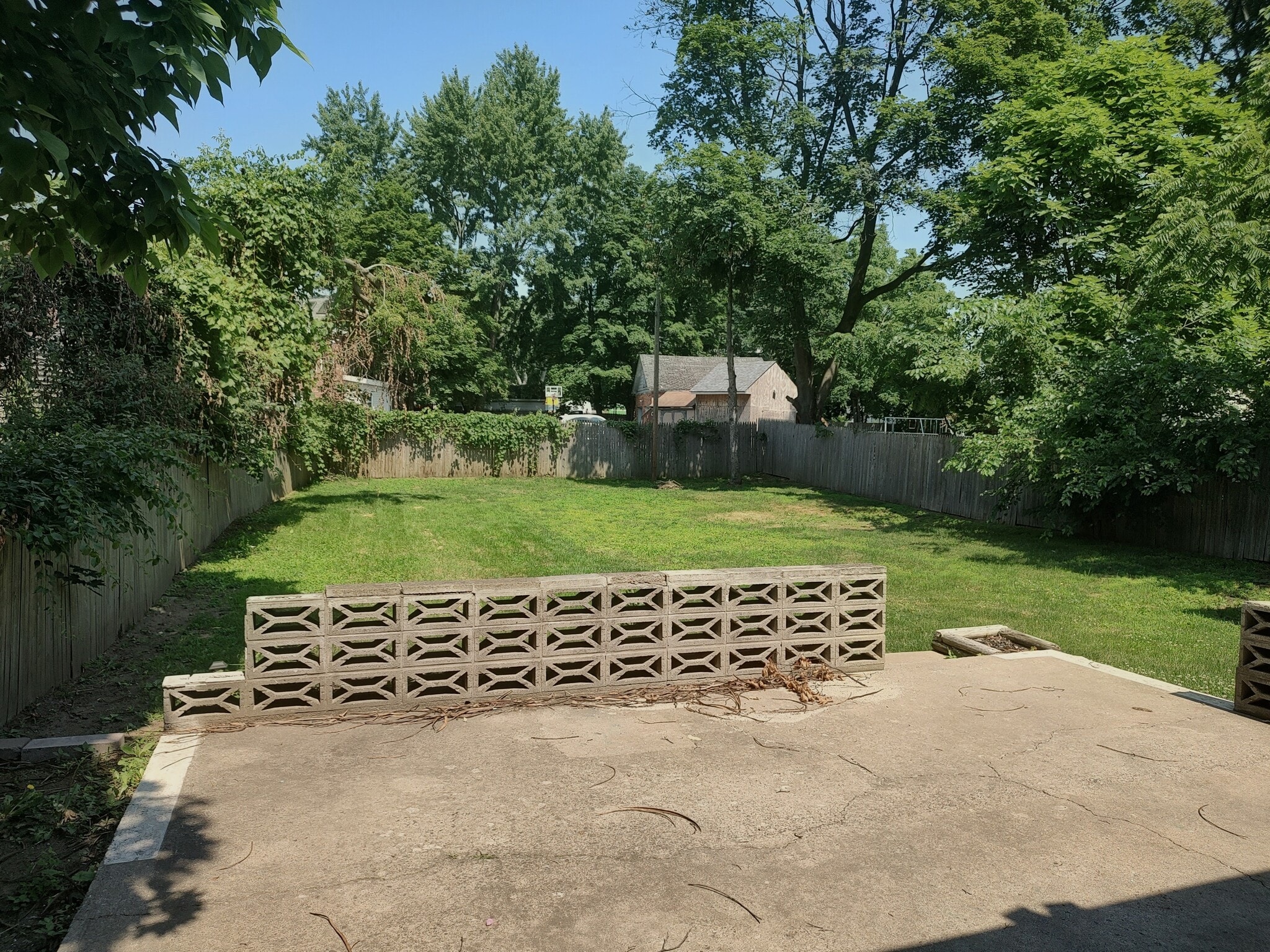 Backyard - 55 Clayton St