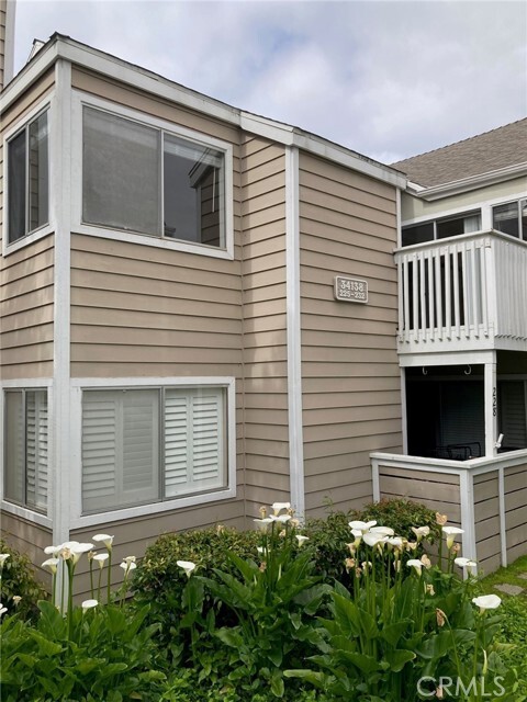Building Photo - 34138 Selva Rd