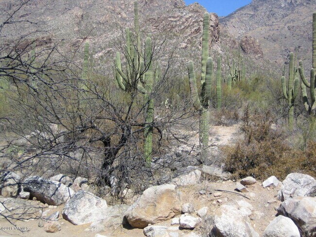 Building Photo - 6655 N Canyon Crest Dr