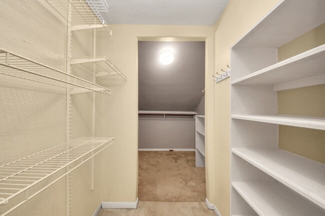 Building Photo - 3007 Cotter Lake Cir