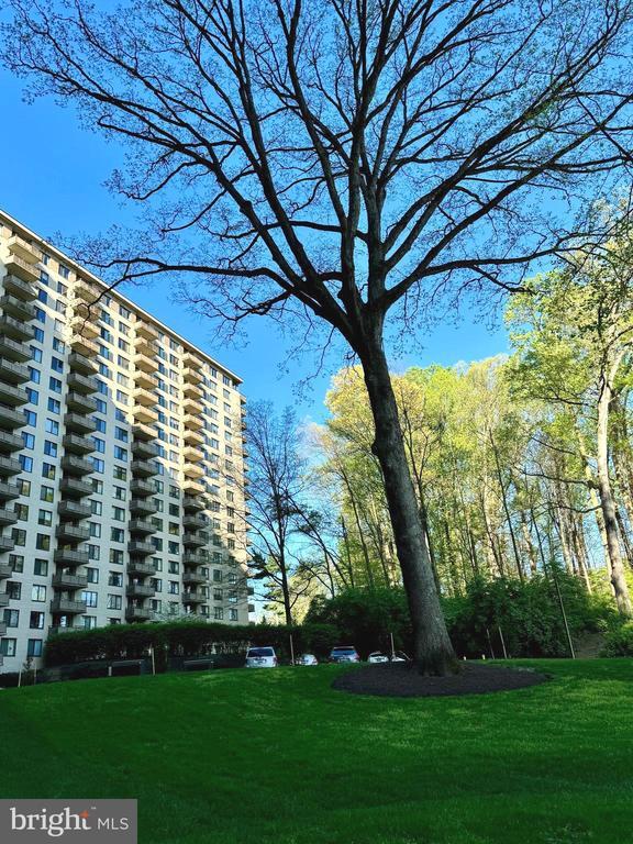 Building Photo - 5225 Pooks Hill Rd