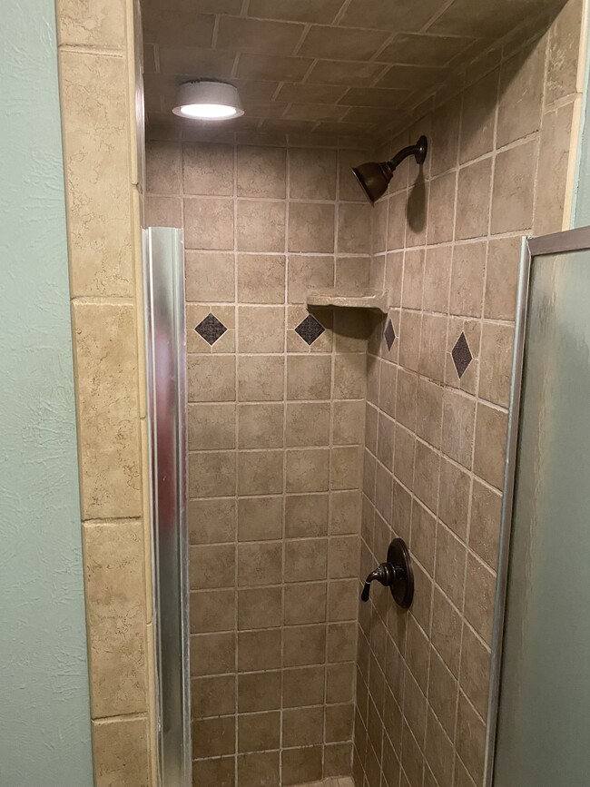 Master Shower - 4712 Ringold Dr