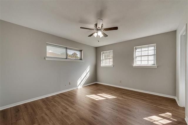 Building Photo - 8423 Cadenza Ln