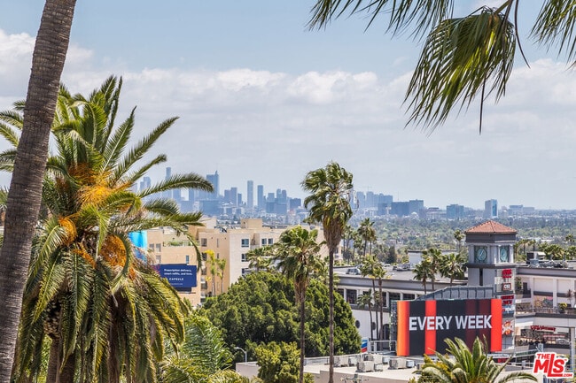 Building Photo - 1541 Selma Dr