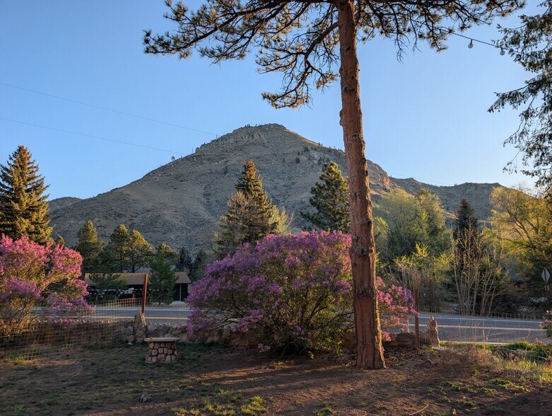 Building Photo - 10313 Poudre Canyon Rd