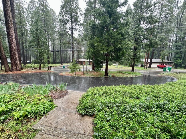 Building Photo - Spacious 4 Bedroom House on Banner Lava Cap Rd