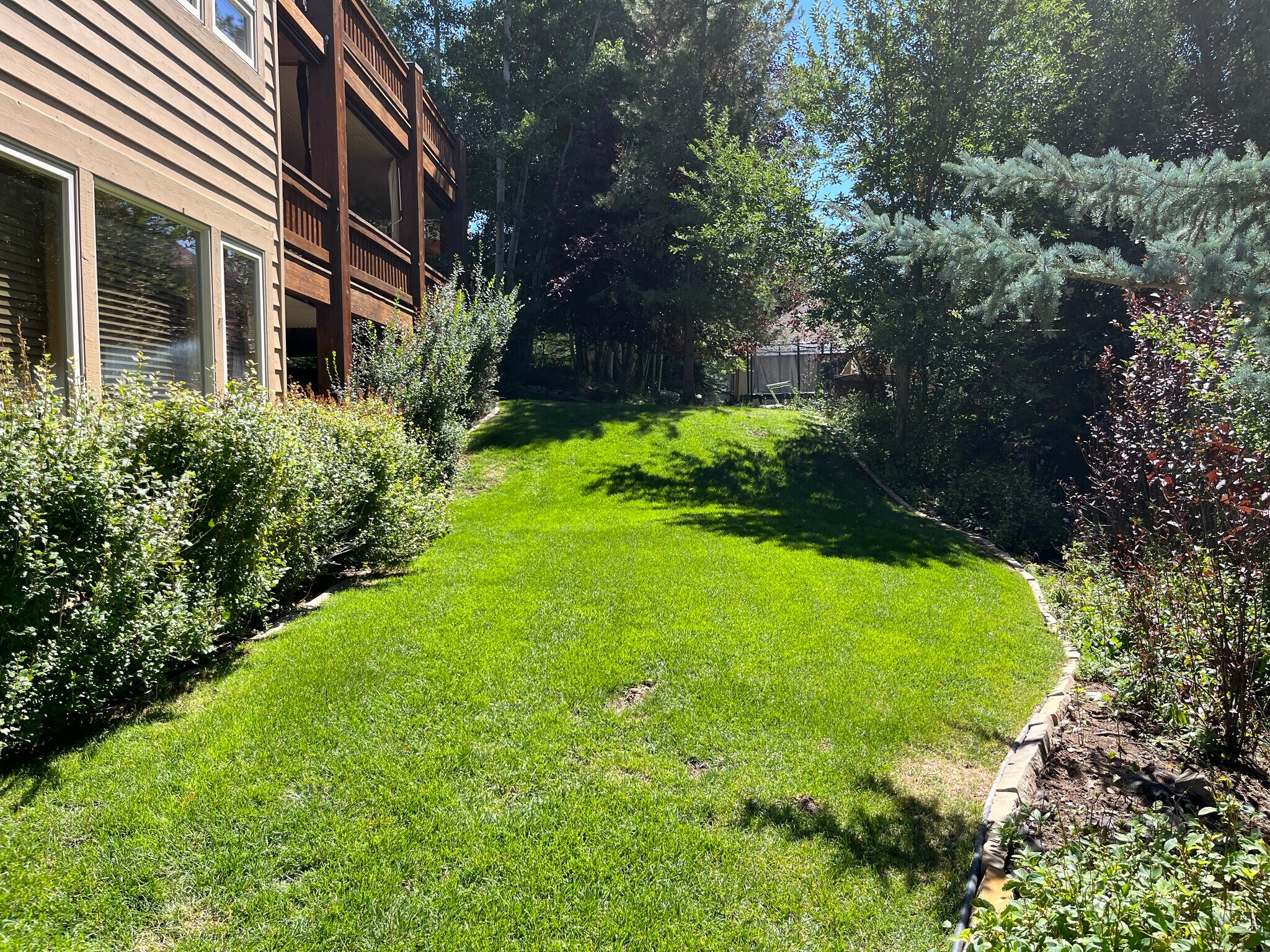 Building Photo - 2557 Lower Lando Ln