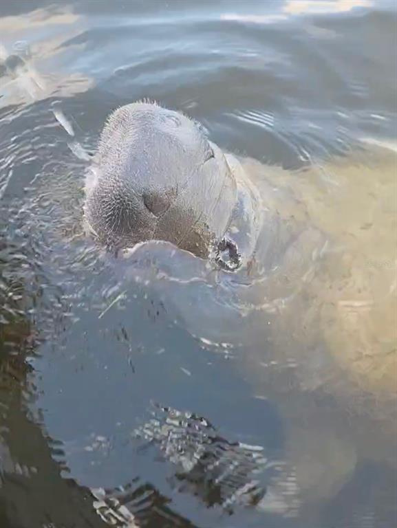 Building Photo - 1210 Maryknoll Rd