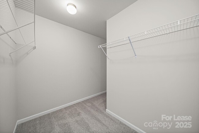 Building Photo - 3200 Polk and White Rd