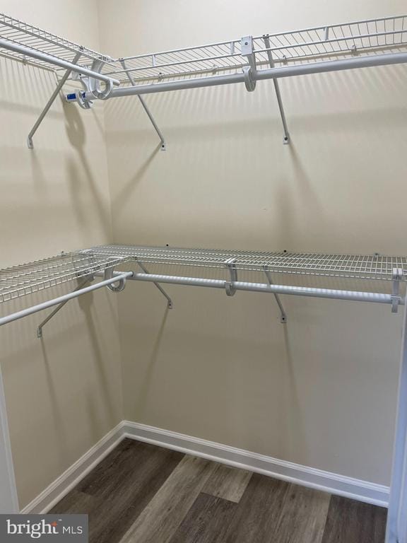 Building Photo - 2411 Tremont St