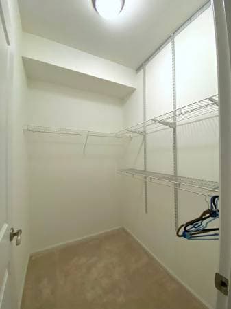 Walk in closet - 503 225th Ln NE
