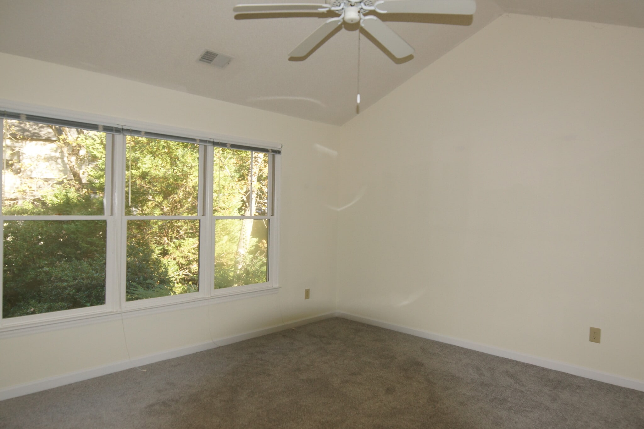 Building Photo - 204 Swiss Lake Dr