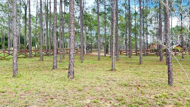 Building Photo - 20721 Angels Landing Ct