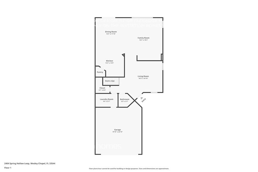Building Photo - 2404 Spring Hollow Loop
