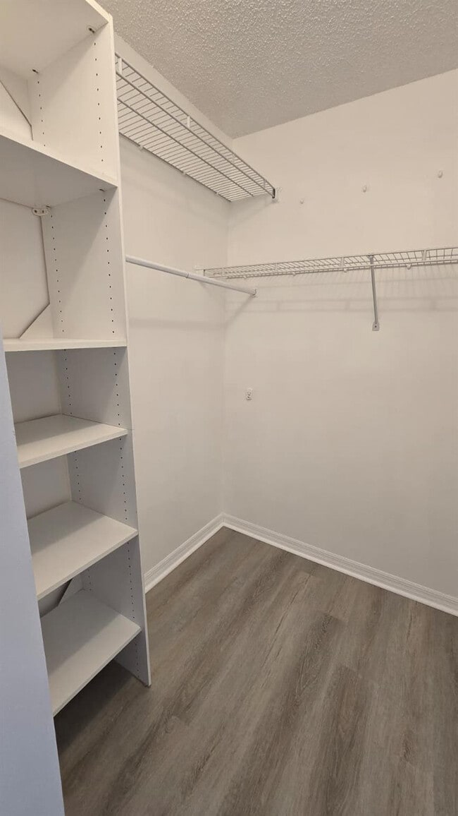 Building Photo - 2213 Salerno Cir