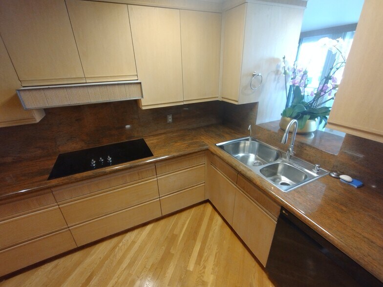 New cooktop, sink and faucet - 121 S Hope St