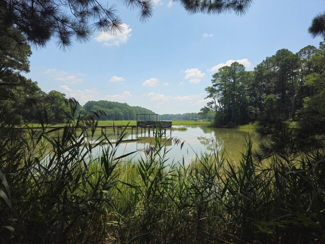 Building Photo - 6734 Burbage Landing Cir