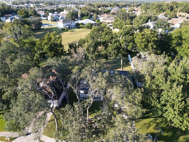 Building Photo - 2560 Tall Maple Loop