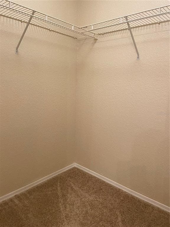 Building Photo - 2212 Grand Cayman Ct