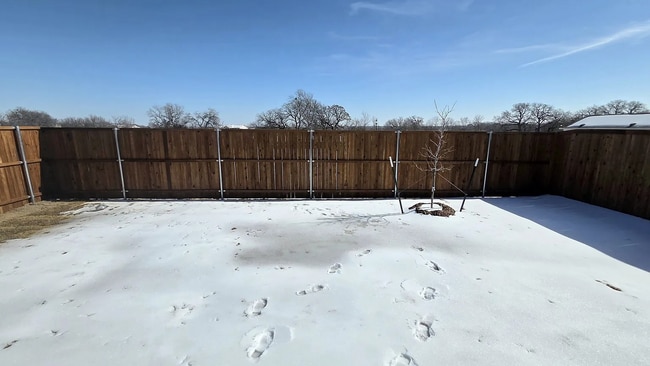 Building Photo - 3140 Burmese St