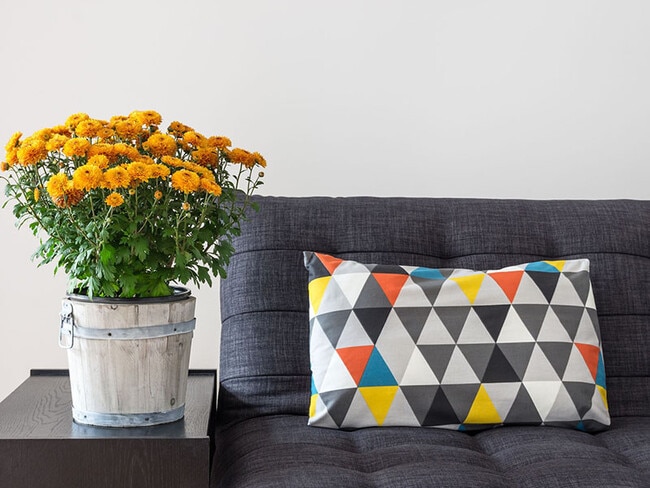 Building Photo - Daytona Garden