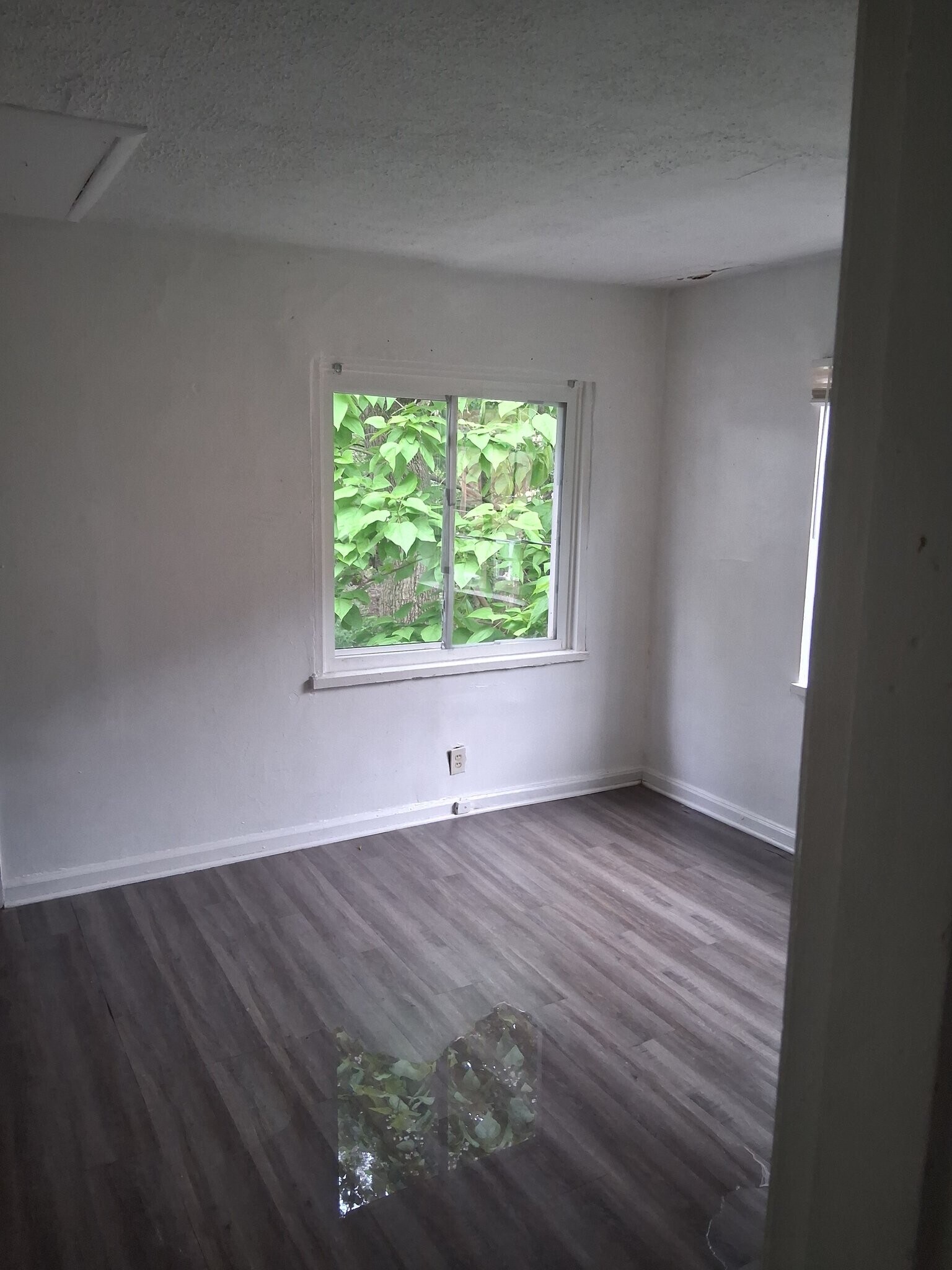 Building Photo - 644 Redwood Ave