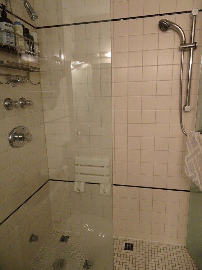 Building Photo - 480 N McClurg Ct