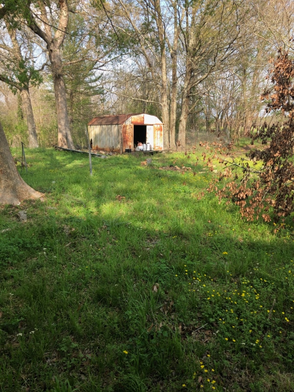 Building Photo - 1383 Eugene Soileau Rd