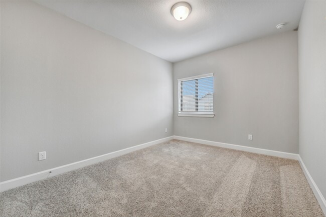 Building Photo - 3311 Full Bellied Ln