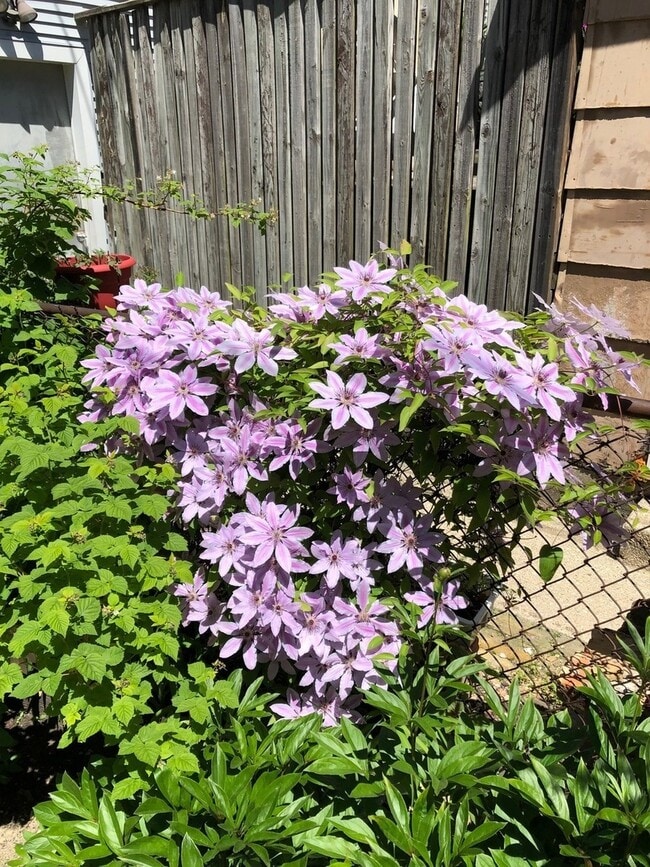 Building Photo - 833 W Wellington Ave