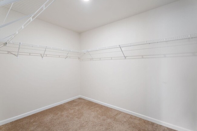 Building Photo - 317 Sportsman Dr