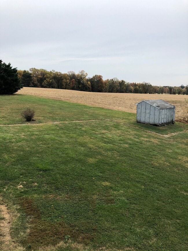 Building Photo - Country Setting located between Elkton & N...