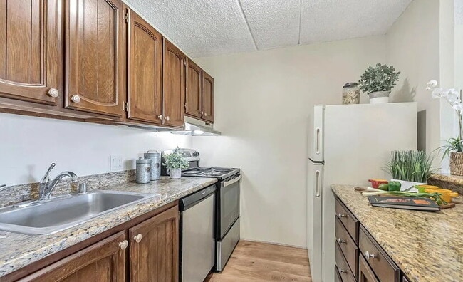 Building Photo - Spacious 1bdrm living room and bedroom with large picture windows bringing in lots of natural light.