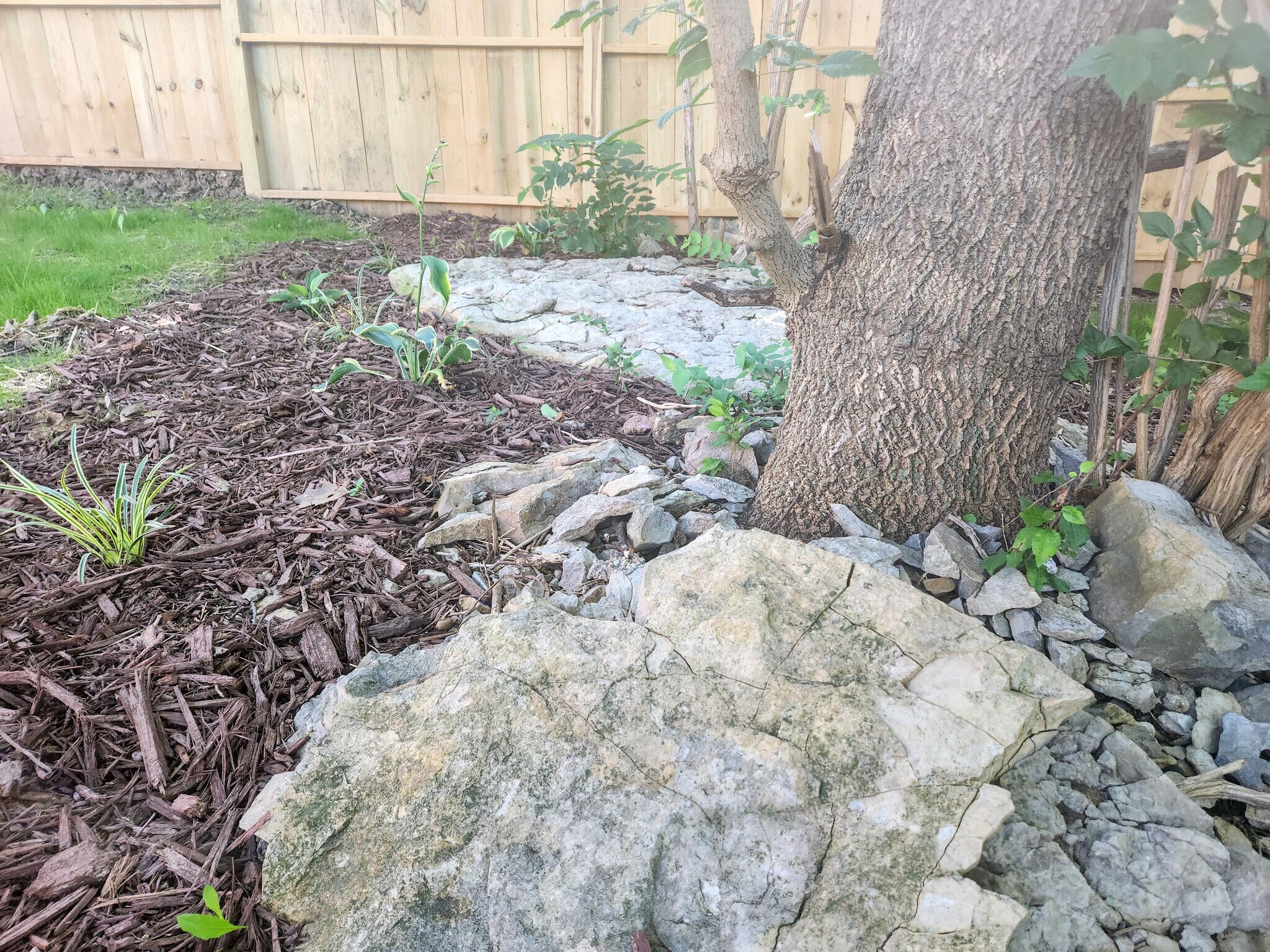 in your private back yard - 4304 E Santa Anna Dr