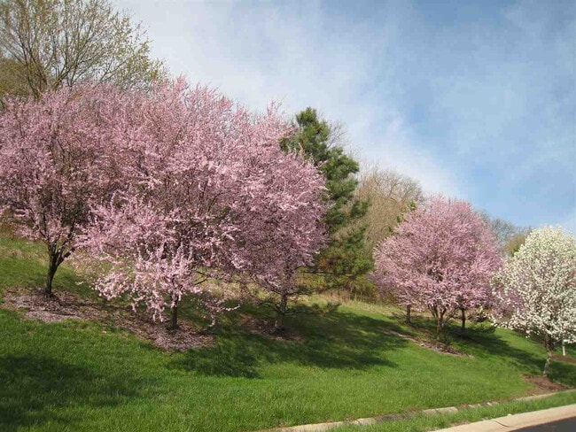 Building Photo - 2271 Edenderry Dr