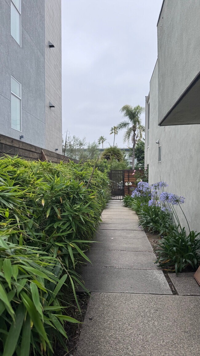 Walk way to Front Gate - 11983 Walnut Ln