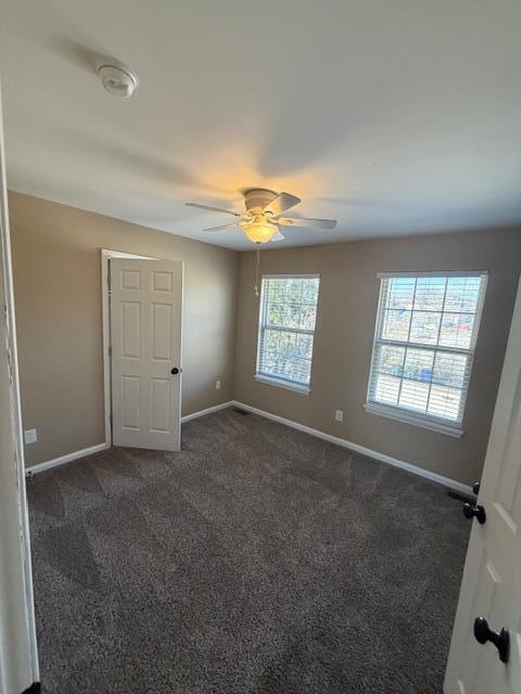 Building Photo - 3815 Lady Di Ln