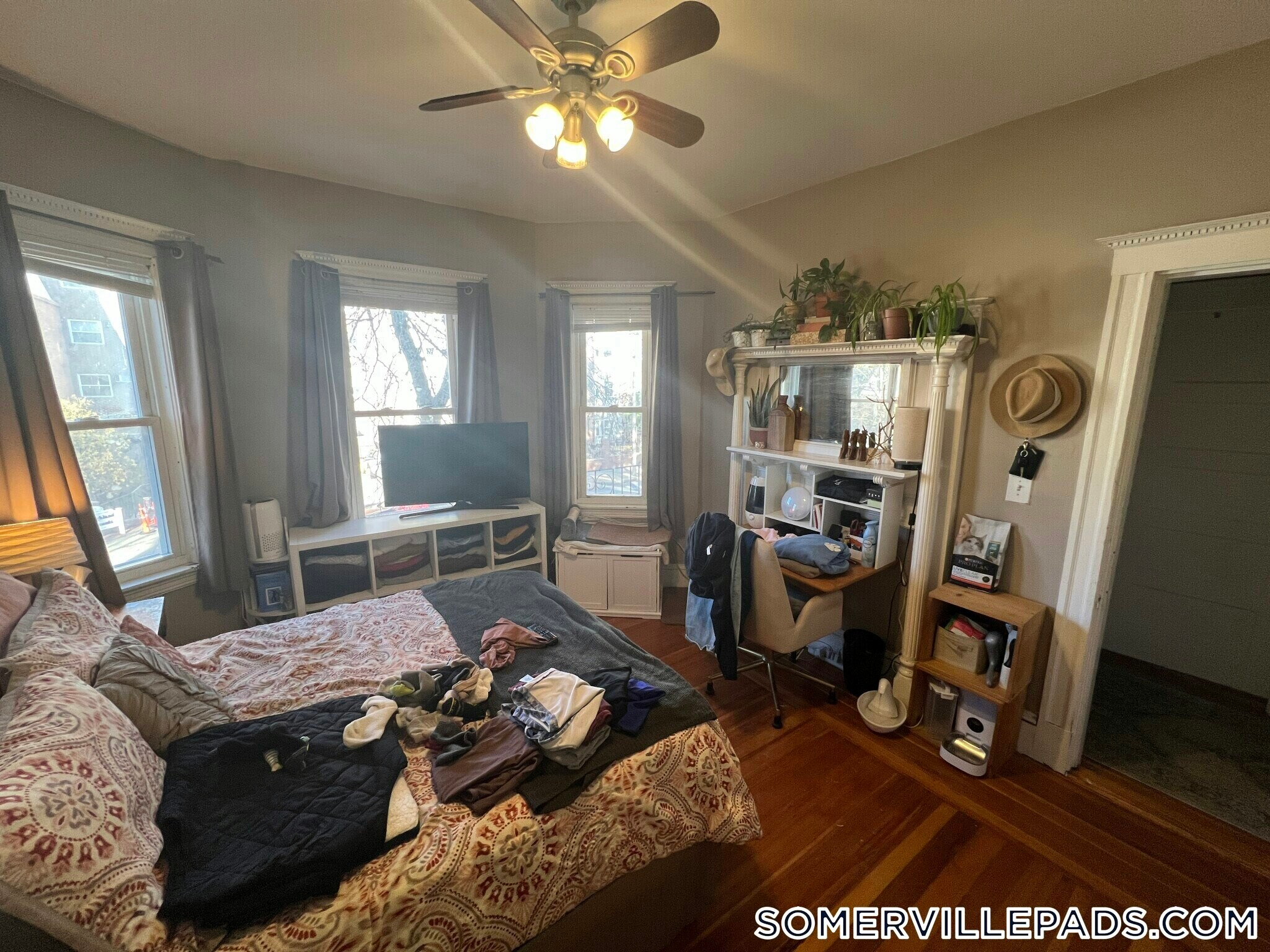 Building Photo - 294 Highland Ave