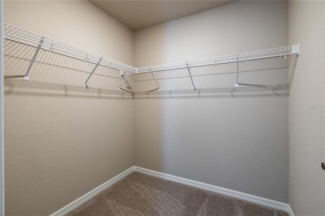 Building Photo - 551 Windy Willow Wy