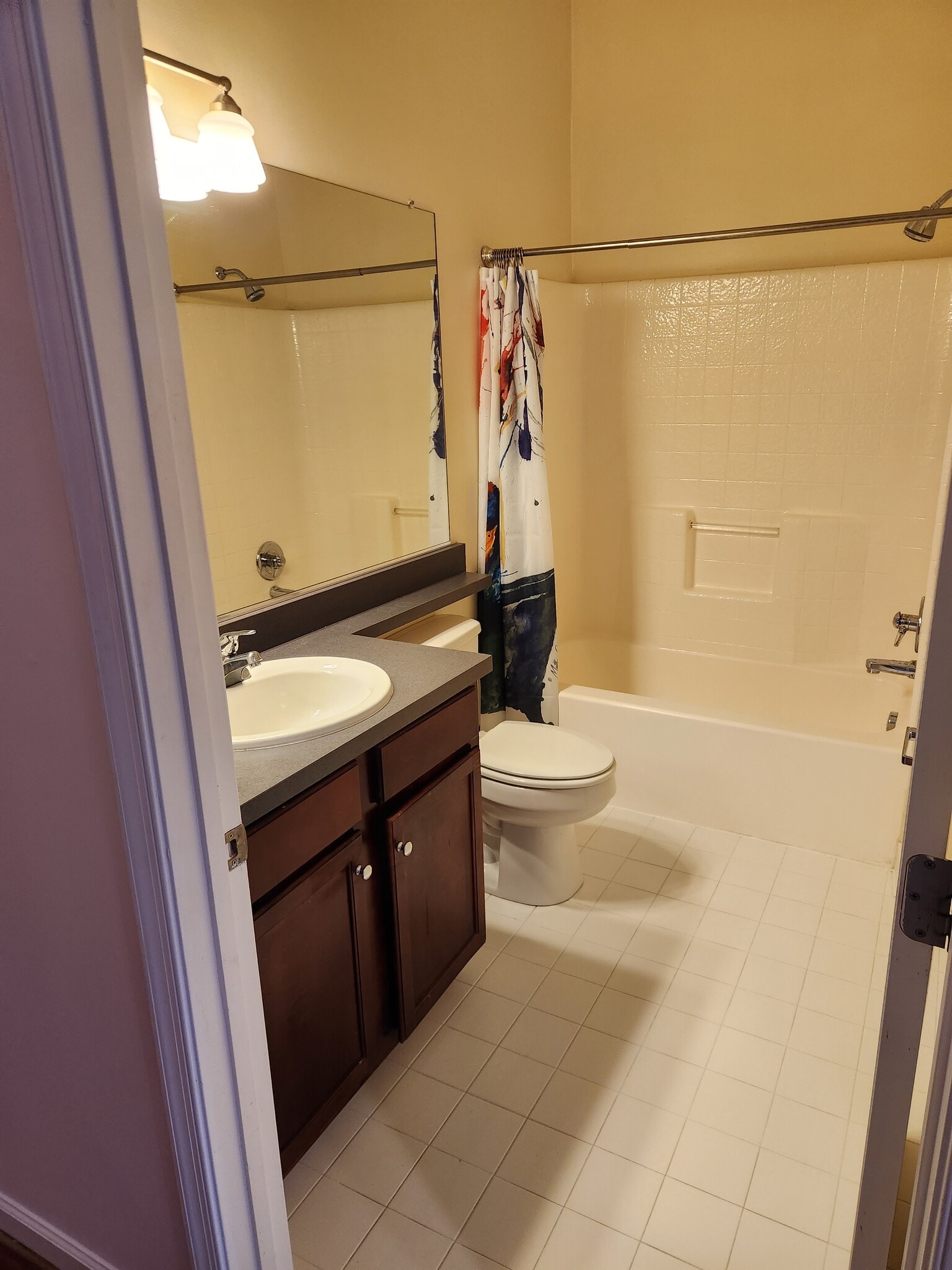 Downstairs Bathroom - 815 Porter St