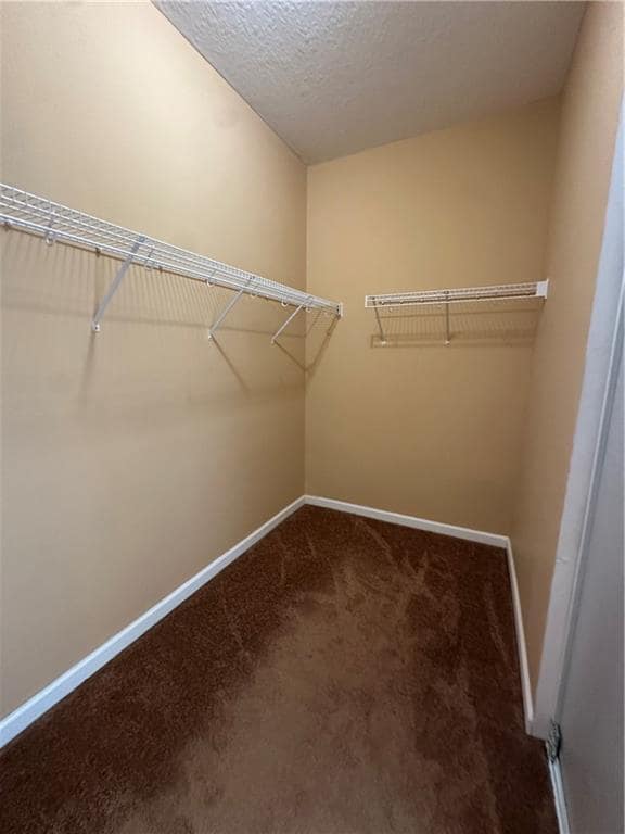 Building Photo - 159 Wentle Cir